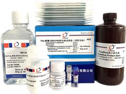 Tris-醋酸-SDS-PAGE電泳試劑盒（變性電泳，含預(yù)制膠）
