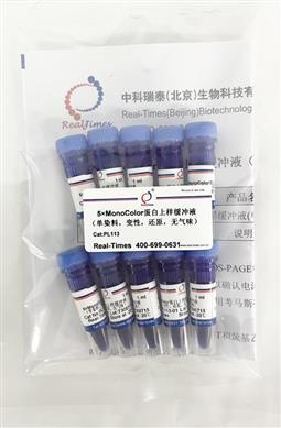 5×MonoColor蛋白上樣緩沖液（單染料，變性，還原，無氣味）