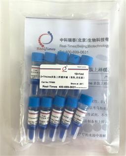 2×Tricine多肽上樣緩沖液（變性，非還原）