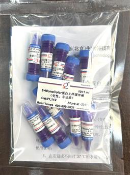 5×MonoColor 蛋白上樣緩沖液 (變性，非還原)